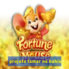 projeto tamar na bahia